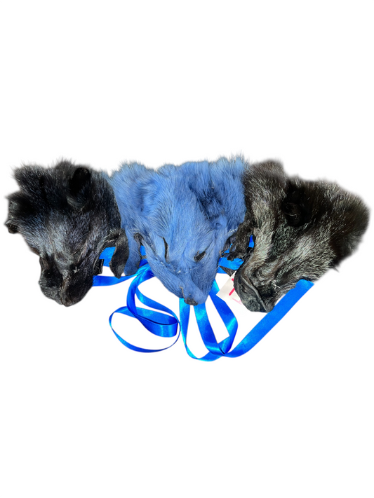 1/1 Cyan colored Fox Corset