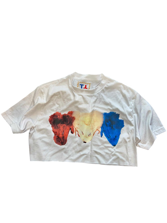 Ready To Wear USA crop T